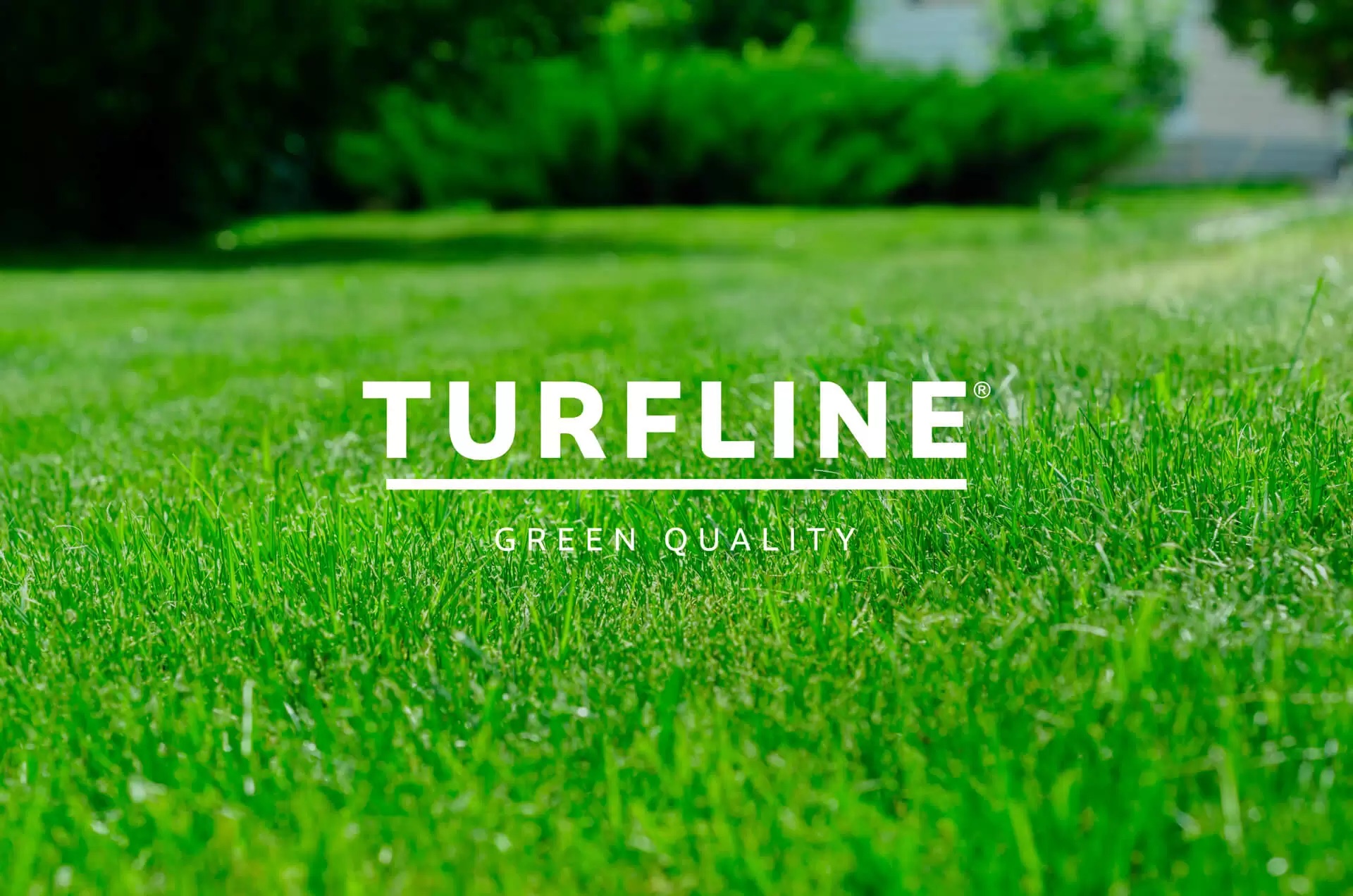 TURFLINE casebillede